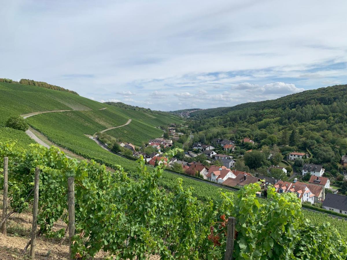 Apartmán Modernes Penthouse, Nahe Wuerzburg Exteriér fotografie